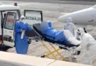 Una cepa andina de hantavirus en un crucero que zarpó de Argentina