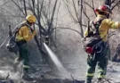 Fin del misterio en Cafayate: detuvieron al presunto autor del mega incendio que arrasó con 200 hectáreas de bosque nativo