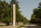 Coronel Moldes: denuncia de venta de terrenos fiscales por Facebook