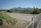 Alerta sanitaria en Salta: un estudio científico detectó leptospirosis en el 33% de los perros analizados en la cuenca del río Arias-Arenales