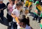 Fe y devoción escolar: más de 2 mil niños rindieron homenaje al Señor y la Virgen del Milagro