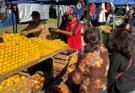 ¿Dónde conseguirás alimentos a precios de oferta y trámites municipales este jueves?