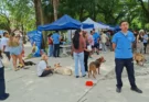 Vacunación, peluquería y adopciones: Salta suma una nueva jornada de “La Muni Animal”