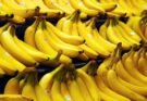 Protección a la producción del norte: sancionaron la ley fitosanitaria para el cultivo de banana